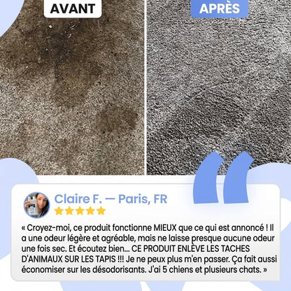 Éliminateur d'odeurs et de taches pour animaux de compagnie