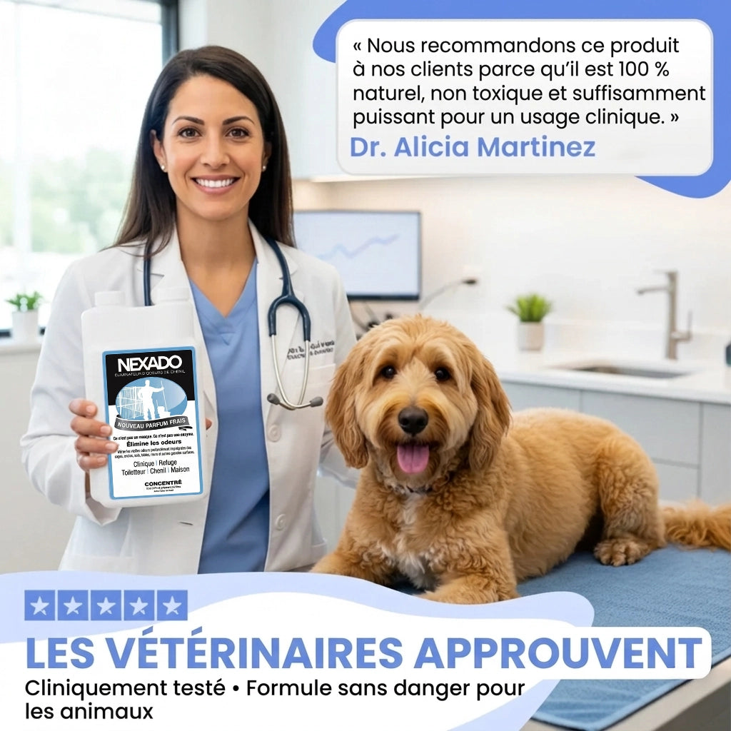 Éliminateur d'odeurs et de taches pour animaux de compagnie