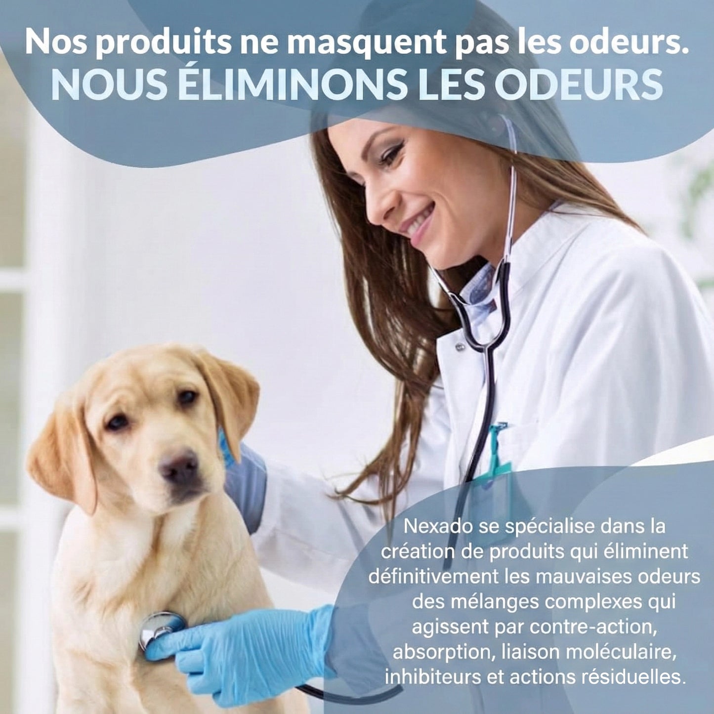 Éliminateur d'odeurs et de taches pour animaux de compagnie